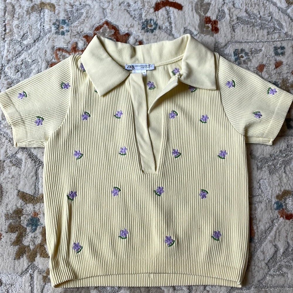 Zara Top